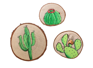 llaveros-cactus