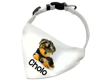 bandana-cholo